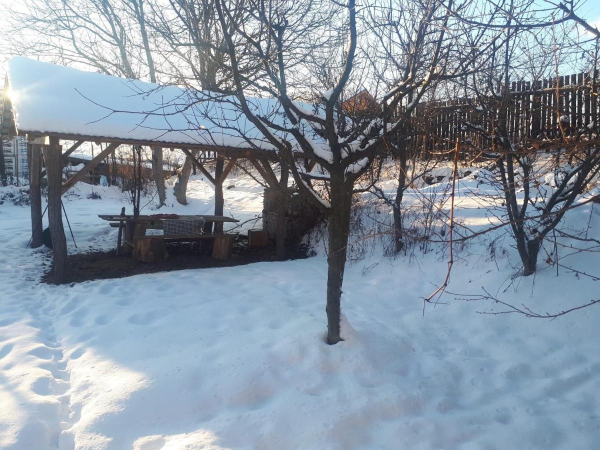 Casa Rustic Feher & Fekete Vendeghazak Совата Экстерьер фото