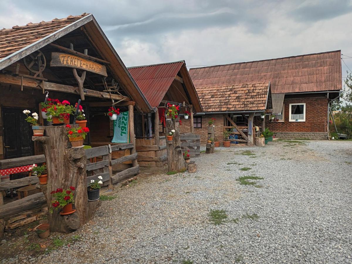 Casa Rustic Feher & Fekete Vendeghazak Совата Экстерьер фото